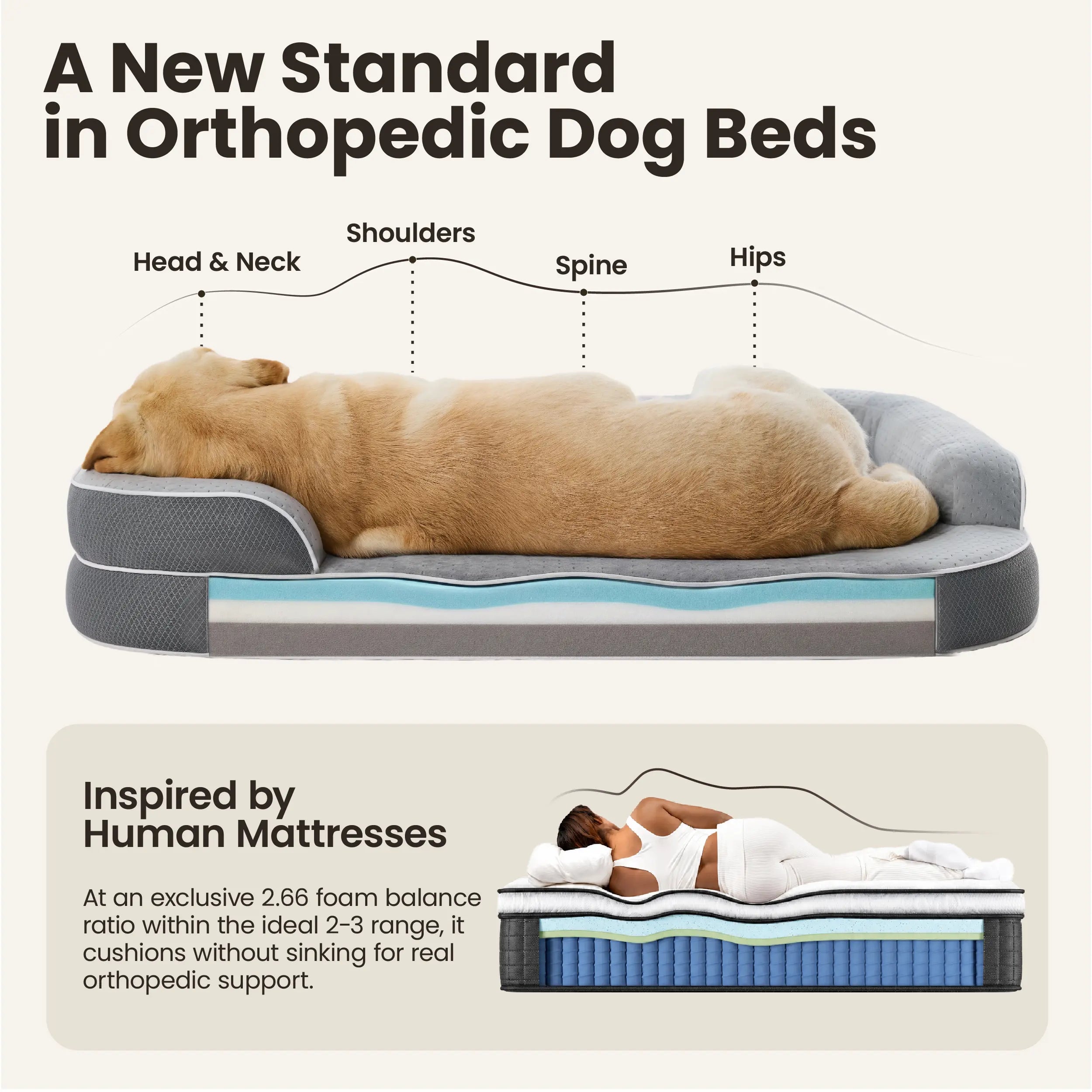 Lesure Realortho Dog Bed- Orthopedic Support Joint Protection for Large & Senior Dogs,Premium Memory Foam Orthopedic Bed for Senior Joint Support with Waterproof Washable Cover, Comfort Couch Sofa for Deep Sleep