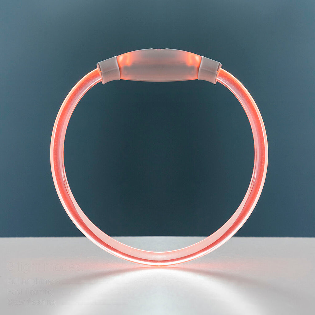 LED Collar for Pets Petlux InnovaGoods