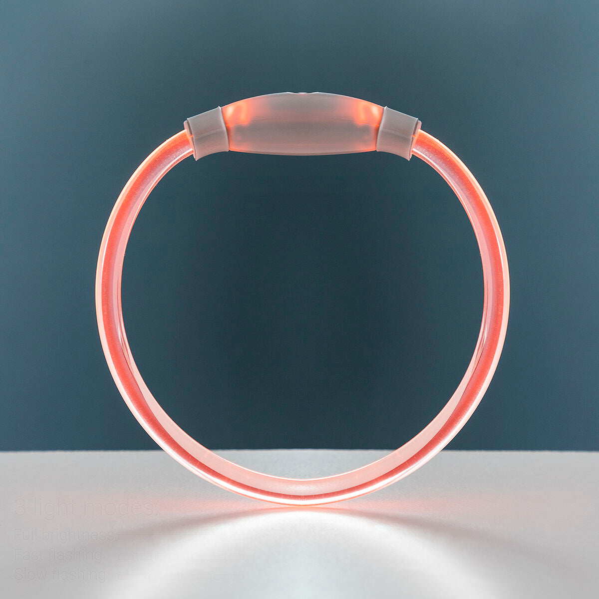 LED Collar for Pets Petlux InnovaGoods